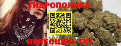 дмт Севастополь