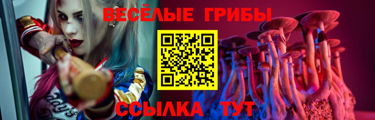 Сарапул  Галлюциногенные грибы GOLDEN TEACHER  Галлюциногенные грибы Cubensis  продажа наркотиков  Вход с VPN 